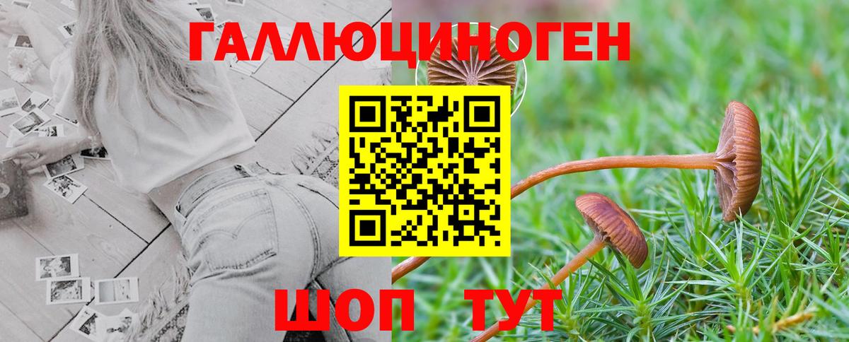 Галлюциногенные грибы Magic Shrooms  Вход с VPN  Осинники 
